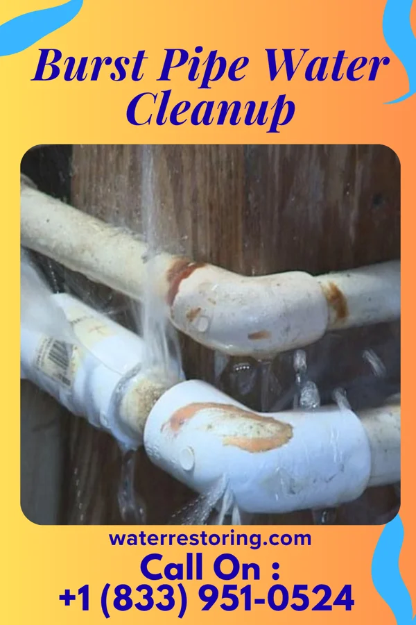 Burst Pipe Water Cleanup in Southwood Acres, CT